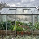 Do Greenhouses Work in Winter? 15+ Crops You Can Grow Through the Cold Months
