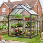 mini greenhouse uk