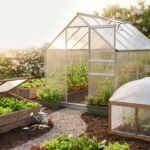 Greenhouse_kit_in_backyard_garden_202608160016