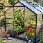 why a mini greenhouse is a smart choice for small gardens