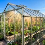how does the greenhouse effect work