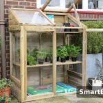 Best Mini Greenhouses for Outdoors