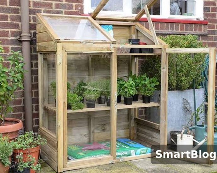 Best Mini Greenhouses for Outdoors