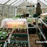 seed trays with young seedlings inside a greenhouse - seeds to sow in october greenhouse