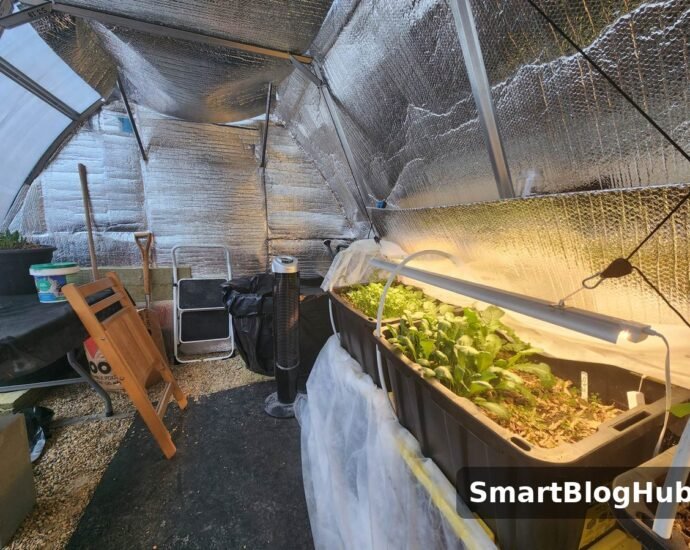 insulated greenhouse interior with grow lights and heater in winter - should i heat my greenhouse in winter